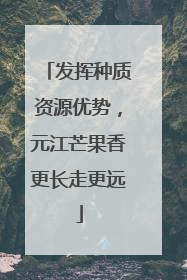 发挥种质资源优势，元江芒果香更长走更远